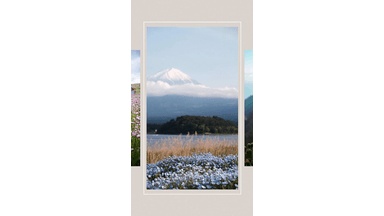 Template Thumb Image