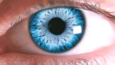 Template Thumb Image