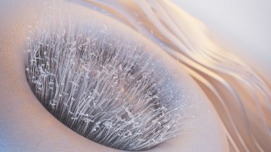 Template Thumb Image