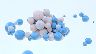 Template Thumb Image