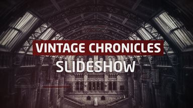 Template Thumb Image