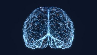 Template Thumb Image