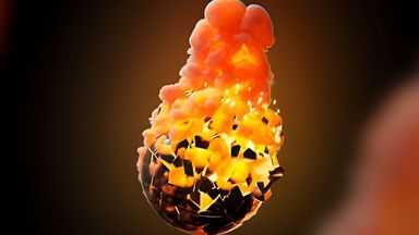 Template Thumb Image