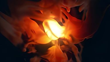 Template Thumb Image