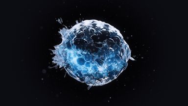 Template Thumb Image