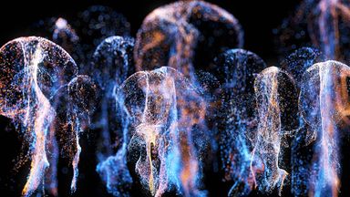 Template Thumb Image