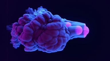 Template Thumb Image