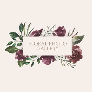 Template Thumb Image