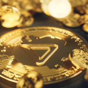 Template Thumb Image