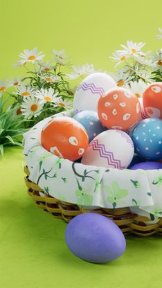 Template Thumb Image