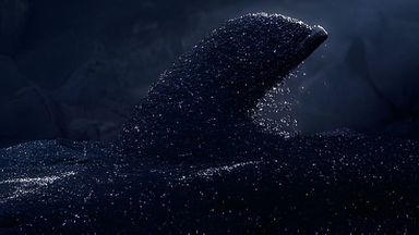 Template Thumb Image