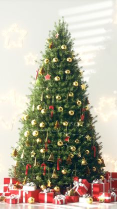 Template Thumb Image