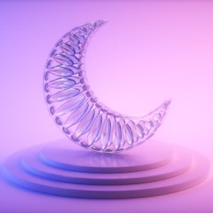 Template Thumb Image