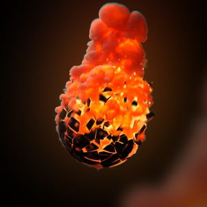 Template Thumb Image