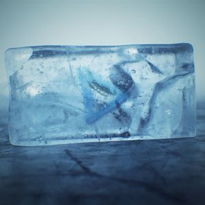 Template Thumb Image