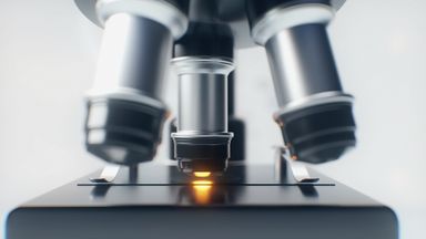 Template Thumb Image