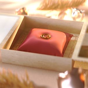 Template Thumb Image