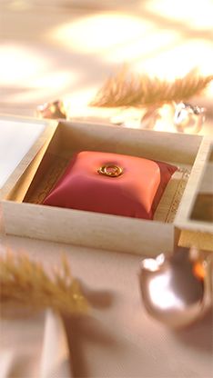 Template Thumb Image