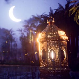 Template Thumb Image