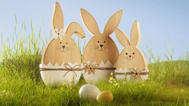 Template Thumb Image