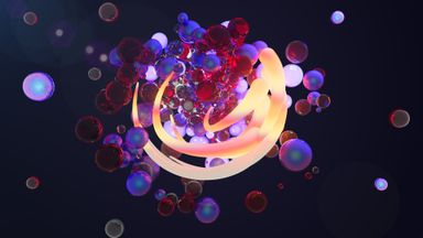 Template Thumb Image