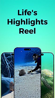 Template Thumb Image