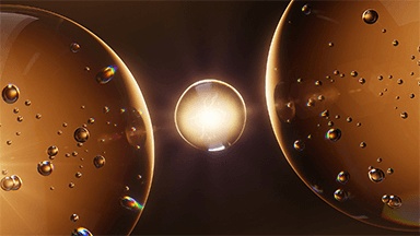 Template Thumb Image