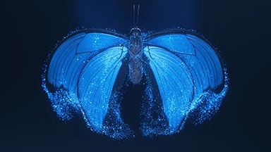 Template Thumb Image