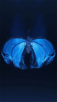 Template Thumb Image