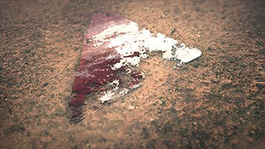 Template Thumb Image