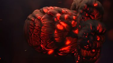 Template Thumb Image