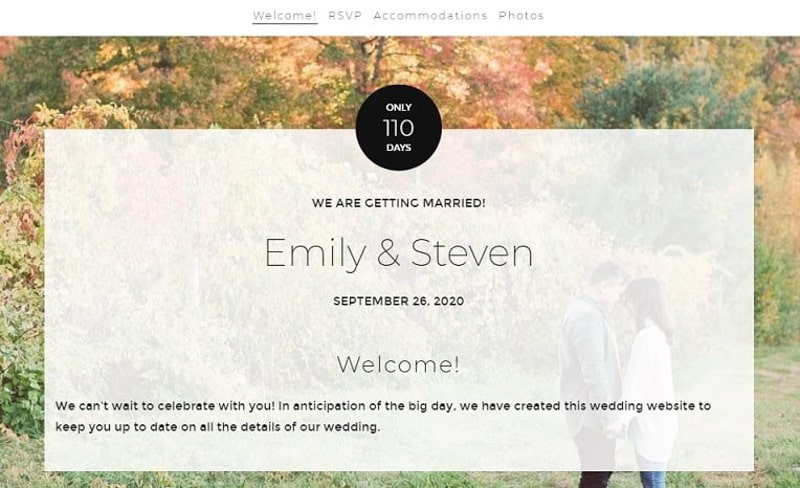 Emily & Steven wedding website