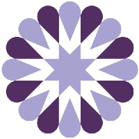 SocialFlow logo