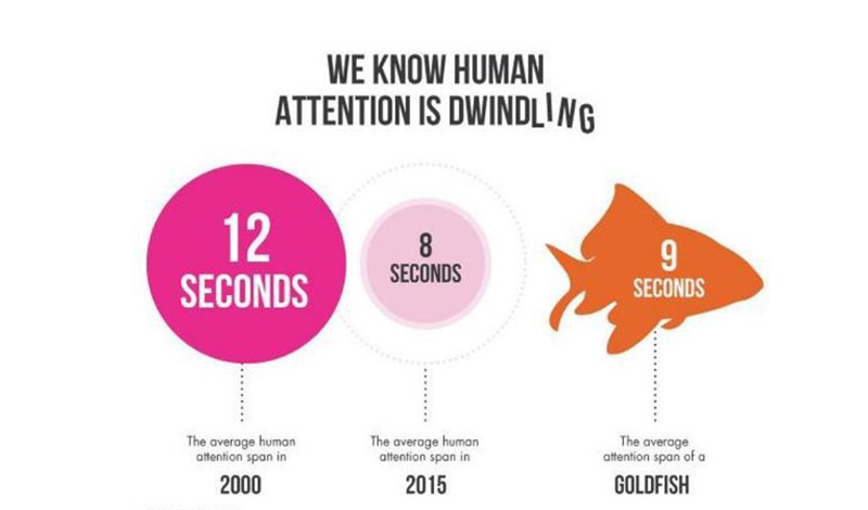 Video landing pages - attention span