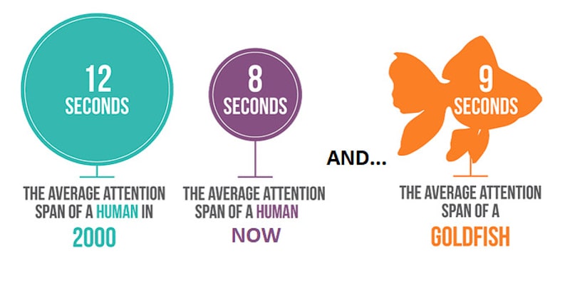average human attention span