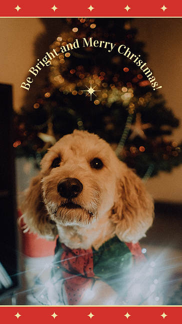 Set visuel des vœux de fin d՛année