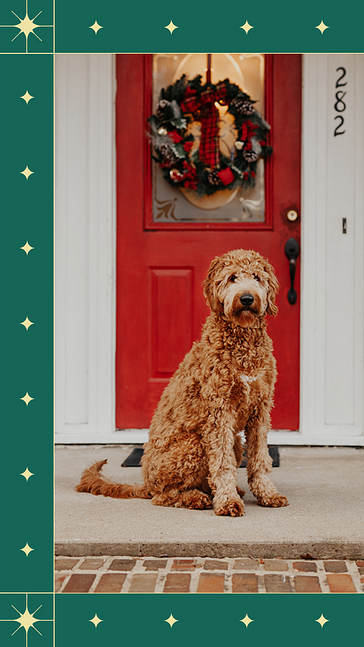 Set visuel des vœux de fin d՛année