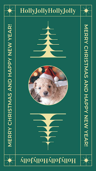 Set visuel des vœux de fin d՛année