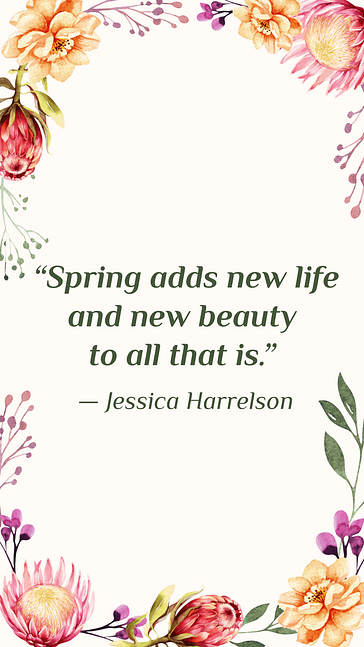 Spring Sale and Quote Set