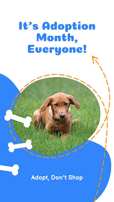 Dog Themed Variety Designs