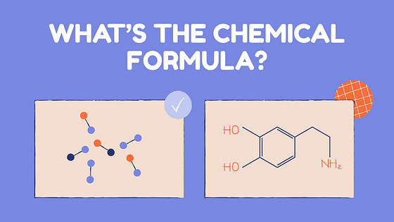 Lesson Plan Slide Deck