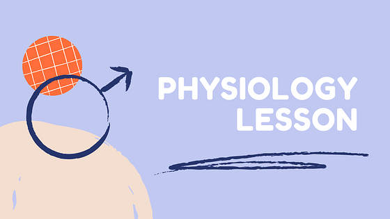 Lesson Plan Slide Deck