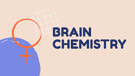 Lesson Plan Slide Deck