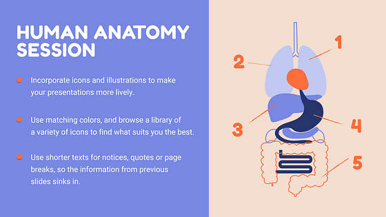 Lesson Plan Slide Deck