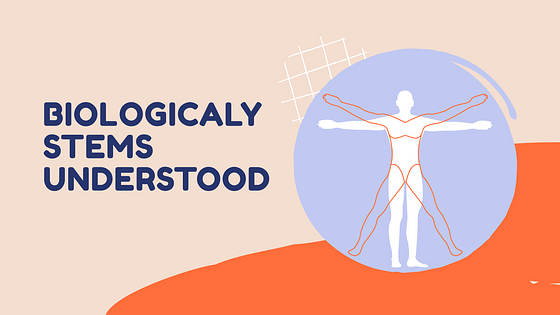 Lesson Plan Slide Deck