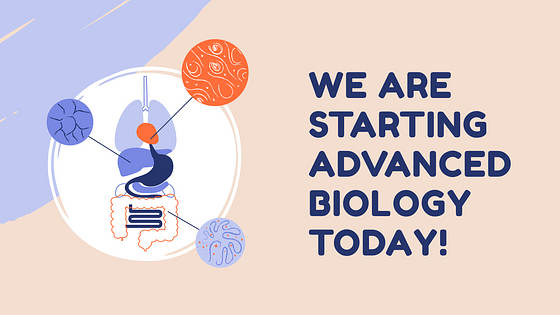 Lesson Plan Slide Deck