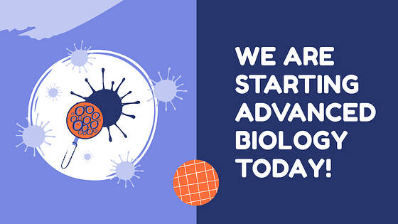 Lesson Plan Slide Deck