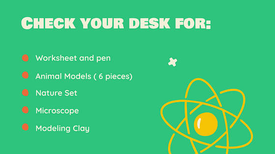 Natural Science Class Slides