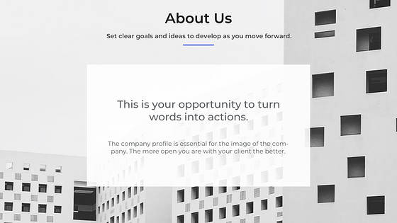 Corporate Presentation Variety Slides