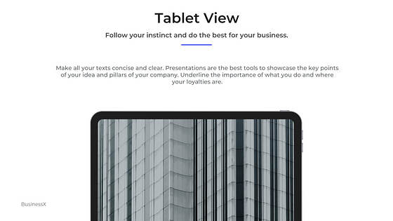 Corporate Presentation Variety Slides